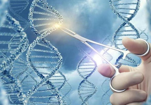 逆轉(zhuǎn)衰老技術(shù)最新突破,貝索斯200億投資引領(lǐng)下一代延長壽命工藝