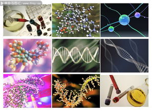 生物科技 打針的紅椒圖片