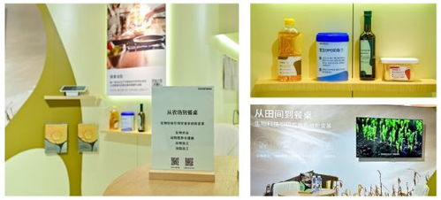 諾和新元 novonesis 全新亮相fic 2024 以生物科技引領(lǐng)食品健康體系新變革