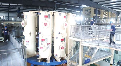 福洋生物玩轉玉米 變形術