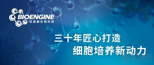專注細胞治療領域的倍諳基生物科技獲逾億元b 輪融資