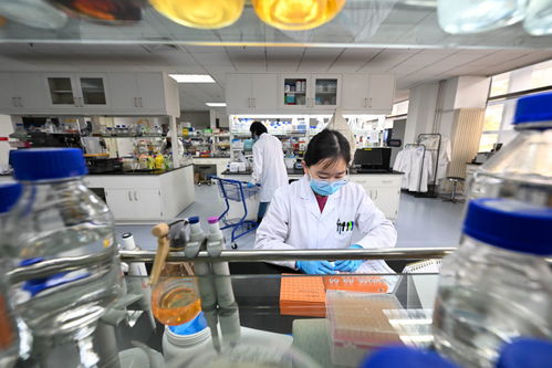 新華全媒丨我在崗位上迎新年 生物科技領域的守歲人與開拓者