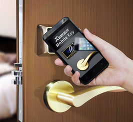 買智能門(mén)鎖前你必知的5件事兒